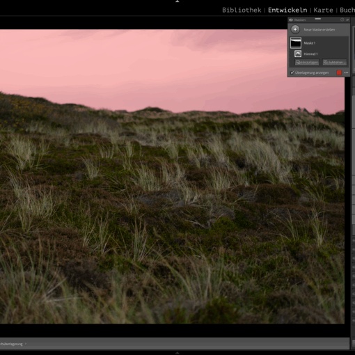 Ein Foto von grasbewachsenen Sanddünen unter einem rosafarbenen Himmel wird in Adobe Lightroom angezeigt, wobei die Bearbeitungsfelder und das Histogramm auf der rechten Seite des Bildschirms sichtbar sind. (KI generierte Beschreibung)